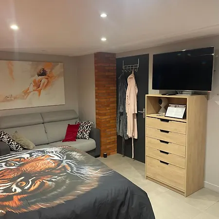 ô Sens Jacuzzi Et Massages 3* Challans